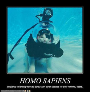 Nostradamus code most quoted figure