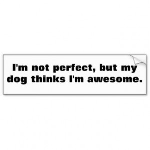 not perfect, but my dog thinks I'm awesome. Car Bumper Sticker
