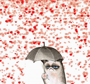 gif cat LOL funny heart rain Valentine grumpy cat