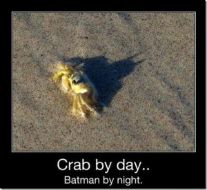Crab by Day … Batman by Night