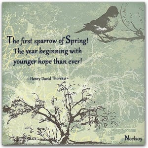 The First Sparrow Of Spring! The Year Beginning With Younger Hope Than ...