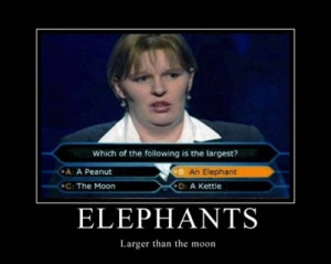 ... Elephant. I think she is right because she looks from a funny family