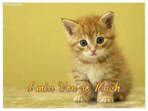 ... все случаи - I miss you so much pictures with love quotes