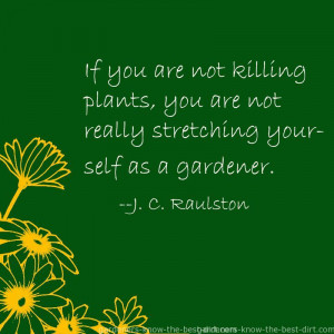 Funny Quotes Contact Dmca...