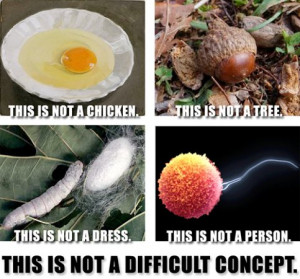as a baby chick when being made for food.This makes me laugh…not ...