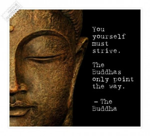 Funny Quotes Contact Us DMCA Notice