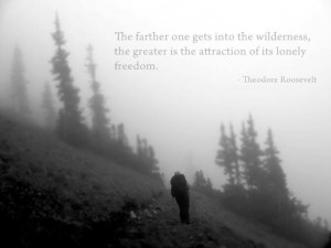 Theodore Roosevelt wilderness quote