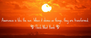 Thich nhat hahn quote - awareness is like the sun