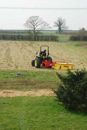Grass Cutting And Lawn...