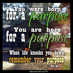 Life Purpose” Quotes to Keep You Focused