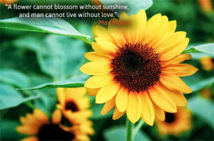 flower cannot blossom without sunshine