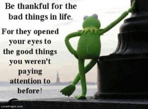 the bad things in life life quotes quotes quote life kermit the frog
