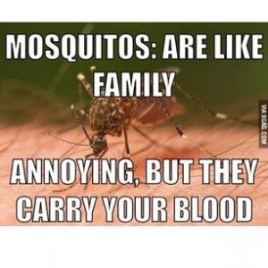 Mosquitos: Are like familyAnnoying, but they carry your blood