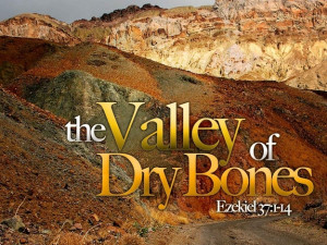 Valley Dry Bones Outreach