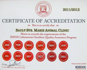 Home » » Sterile Procedures