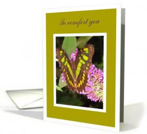 baby loss sympathy cards quotes phrases sympathy message for a loss ...