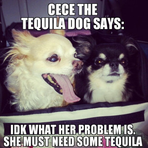 Cece on Peanut's travelling issues