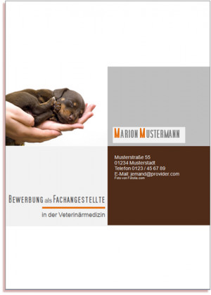 deckblatt bewerbung vorlage bewerbungsschreiben muster kostenlos