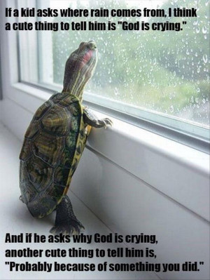 Funny Animals with Captions 21