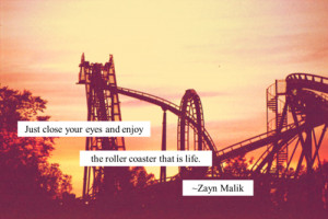 Life is a roller coaster quote.
