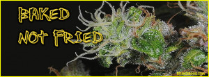 Kush Facebook Covers | Kush Facebook Cover | Kush Facebook Covers ...