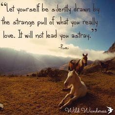 ... pull of what you really love. It will not lead astray.