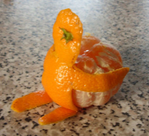 orange_peel_man_by_elishabeesha-d54kx6j.jpg