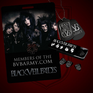the bvb silver package includes 1 year membership to the bvb army ...