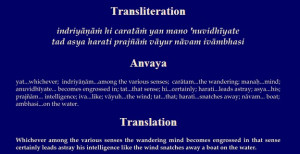 Bhagavad Gita Chapter 8 Verse 23