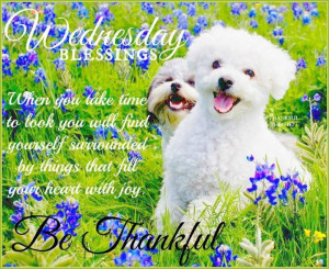 Wednesday Blessings Be Thankful