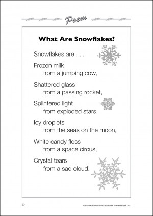 Snow Flakes Are Like People Poems
