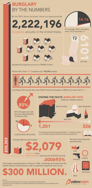 Burglary Report Infographic