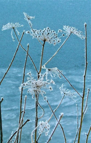 Found on a1pictures.blogspot.com