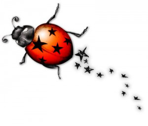 Ladybugs may be sweet but they're the rockstars of the bug world...