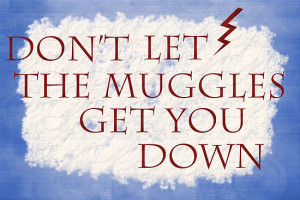 Don't Let the Muggles Get You Down!
