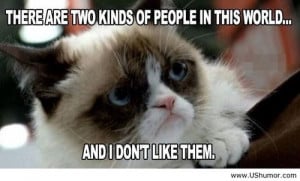 Grumpy cat august 2013 US Humor - Funny pictures, Quotes, Pics, Photos ...
