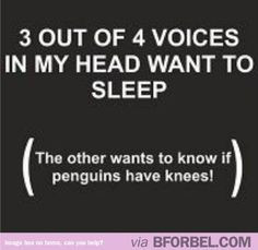 Funny Insomnia Quotes | Funny Voices in My Head Quotes