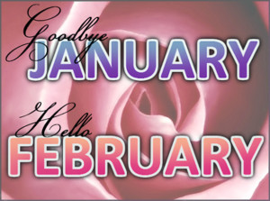 Goodbye January Hello February