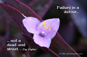 Failure is a detour, not a dead-end street.~ Zig Ziglar
