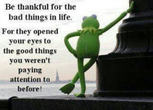 Wise words from a wise frog. :)