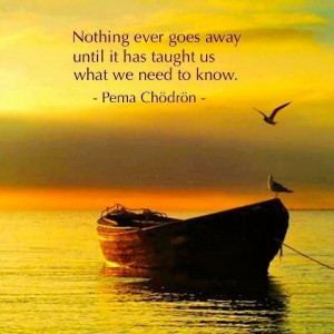 it has taught us what we need to know~Pema Chodron~ You can change ...
