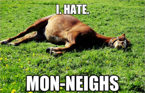 10 Horses with a Bad Case of the Mondays