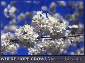 Where hope grows, miracles blossom ~ Faith Quote