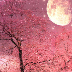 Nature Photography - Dreamy Pink Trees Stars, Moon Stars Nigh... More