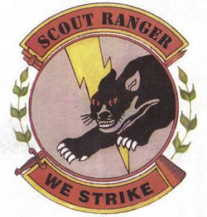 Scout Ranger Patch Picture