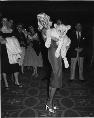 Photos by Michael Nagro