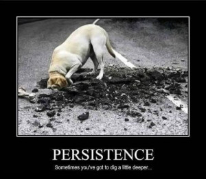 The Way to Succeed Is Through Perseverance