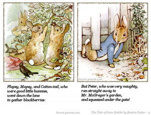 The Tale of Peter Rabbit by Beatrix potter