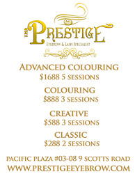 The Prestige Eyebrow & Lash Specialist by Irene Teo www ...