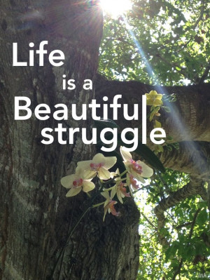 Life is a Beautiful struggle